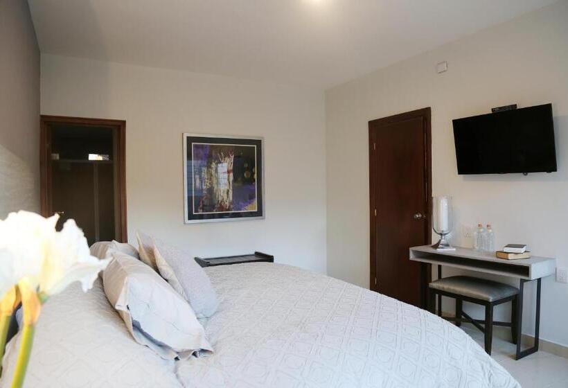 Standardzimmer, Casa Massima