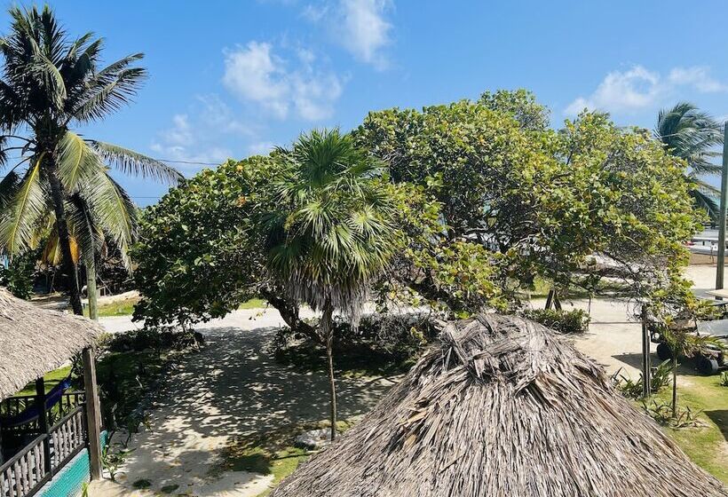 סוויטה משפחתית, Del Rio