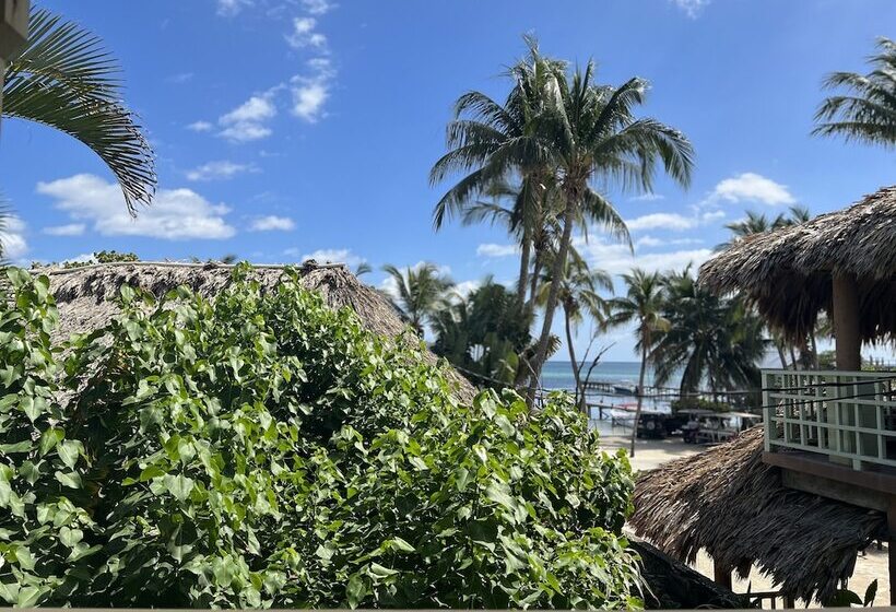 חדר סטנדרט, Del Rio