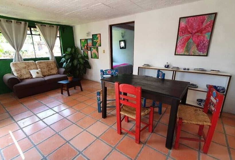 اتاق استاندارد, Casona Hotel Petra