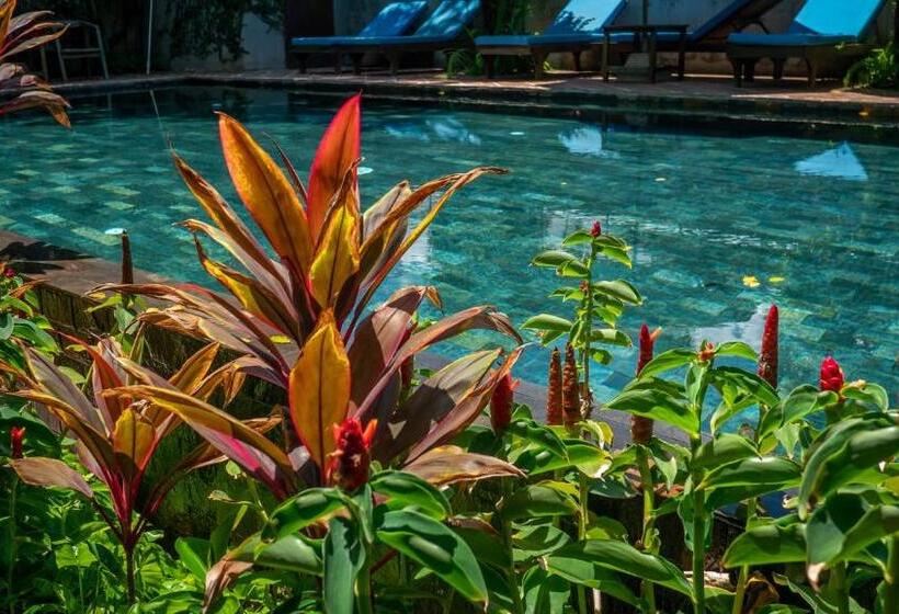 اتاق لوکس با بالکن, Vihara Angkor