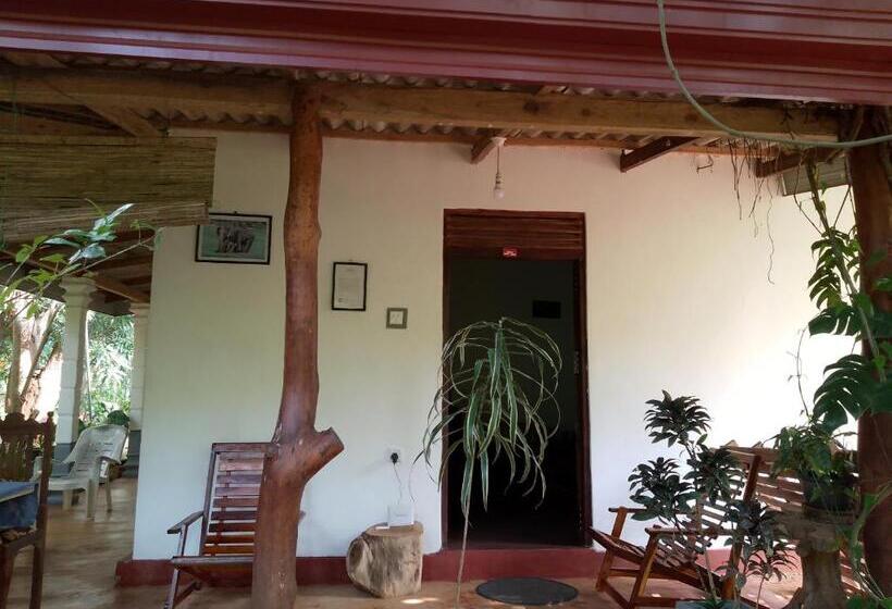 四人标准间, Thilina Homestay