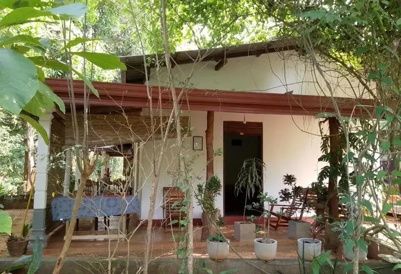Standard Neljän Hengen Huone, Thilina Homestay