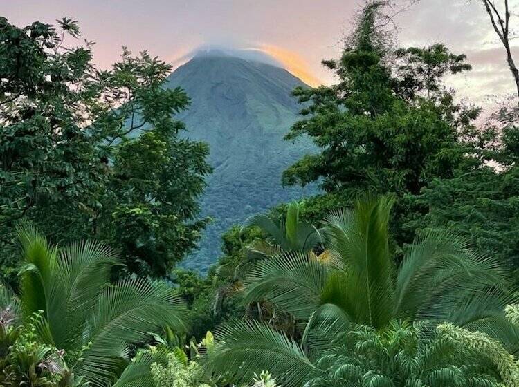 کلبه سوپریور, Arenal History Inn