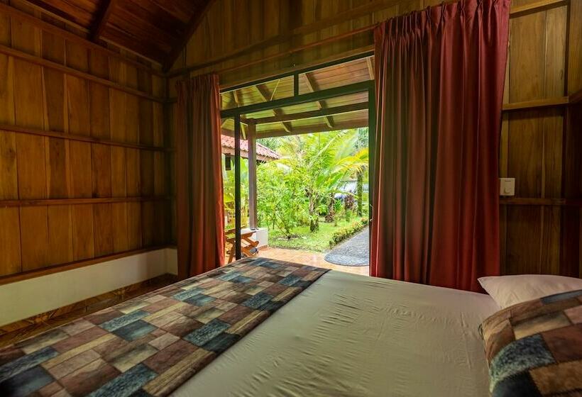 کلبه سوپریور, Arenal History Inn