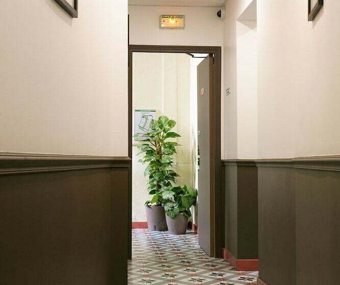 غرفة سوبيريور, Le Grand Albert 1er