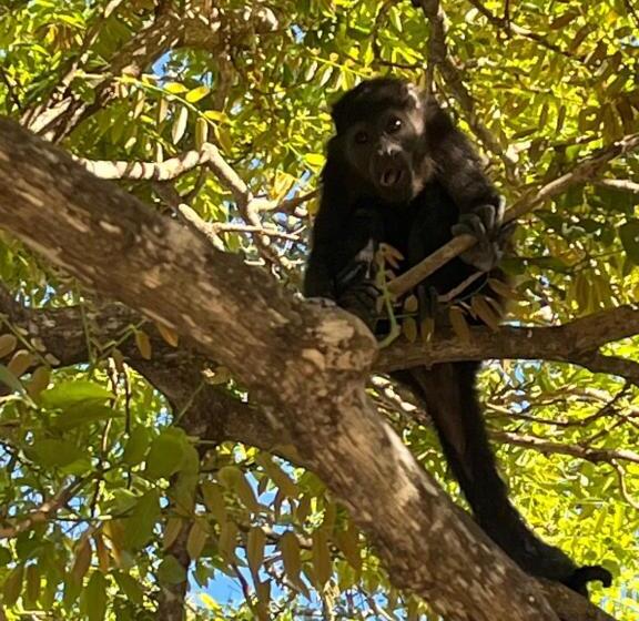 デラックスビラの１ベッドルーム, The Breeze Hotel & Villas