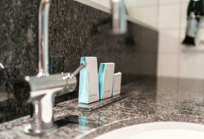 标准间, Onderwijshotel De Rooi Pannen Eindhoven