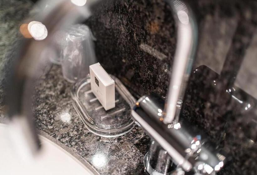 豪华房间, Onderwijshotel De Rooi Pannen Eindhoven