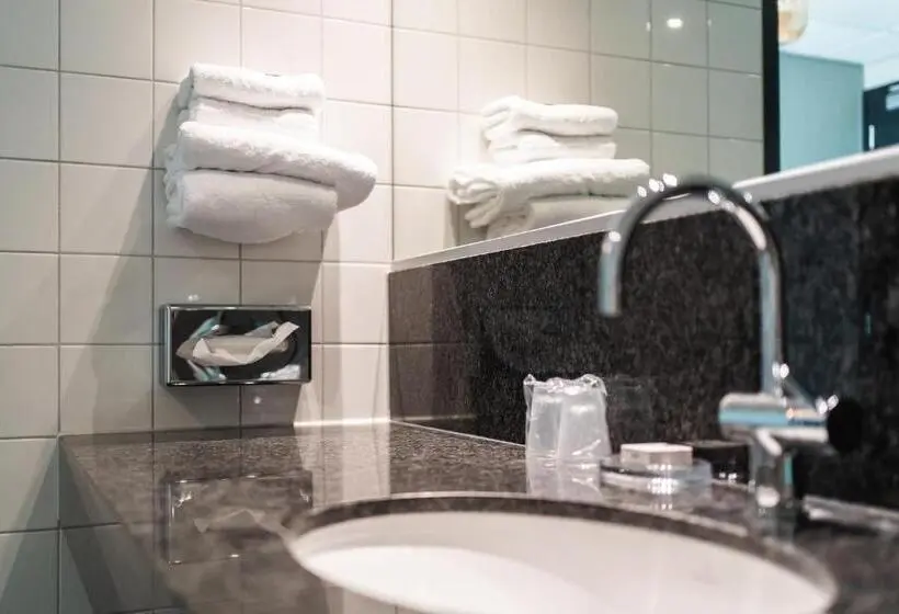 スタンダードルーム, Onderwijshotel De Rooi Pannen Eindhoven