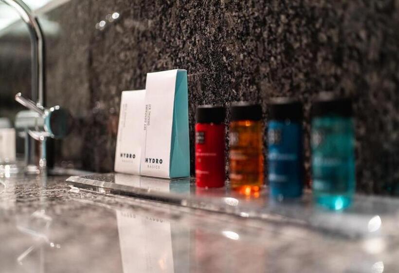 带大床的豪华间, Onderwijshotel De Rooi Pannen Eindhoven