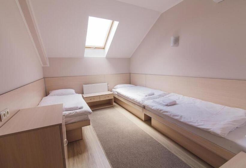 Economy Triple Room, Zinedine Sport