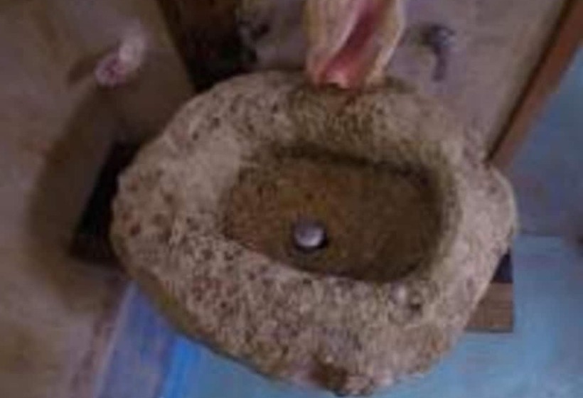 מיטה בחדר משותף, Indajani Hostel Tulum