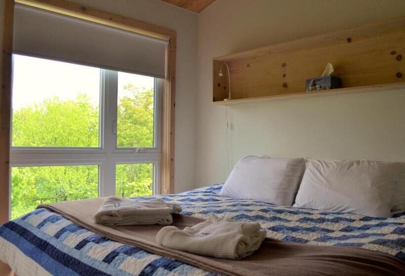 キングサイズベッドのスタンダードルーム, éco Spa Highland