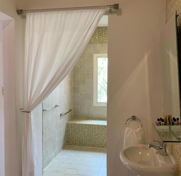 套房, Boutique Frangipani