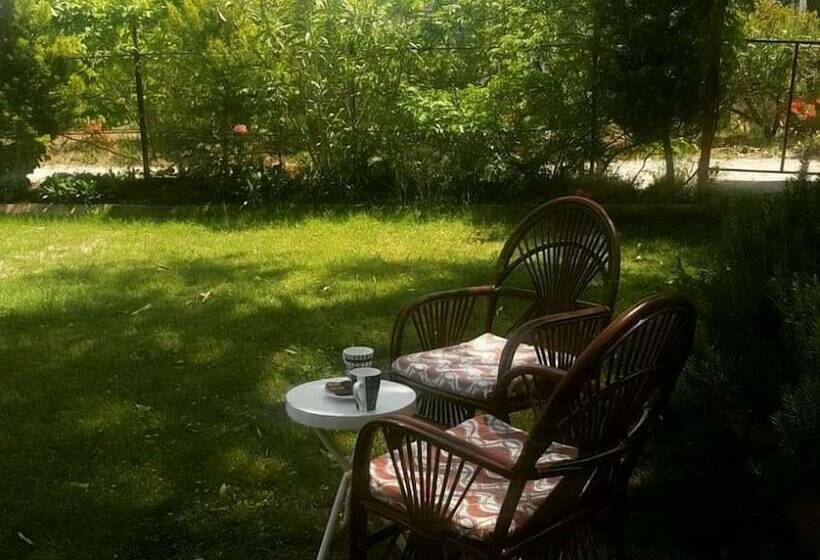 חדר סטנדרט, Nostalgia World