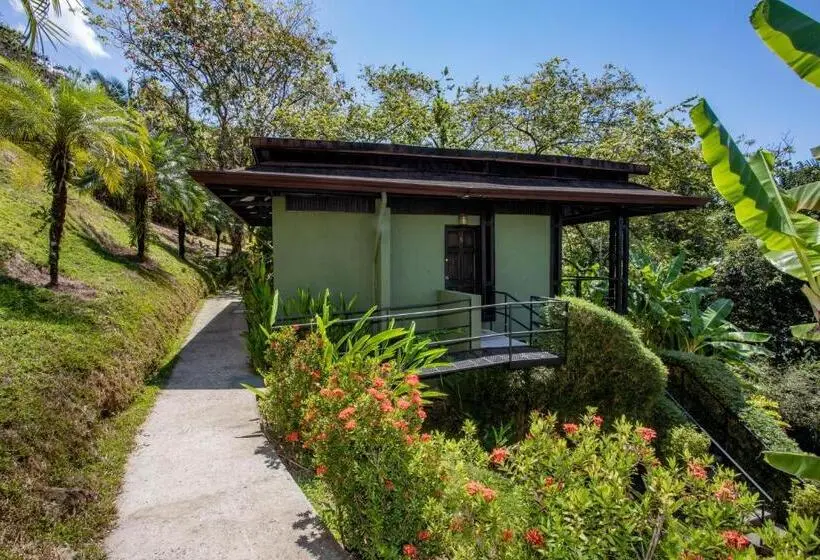 ویلای 1 خوابه با چشم‌انداز دریا, Tiki Villas Rainforest Lodge   Adults Only