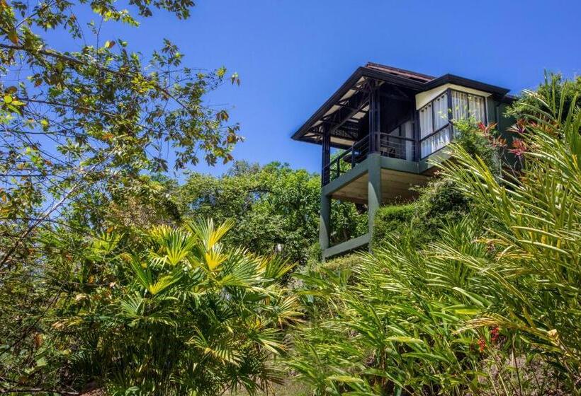 فيلا غرفة نوم واحدة مطلّة علي البحر, Tiki Villas Rainforest Lodge   Adults Only