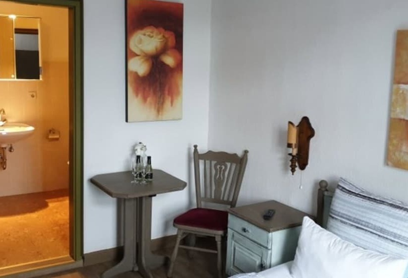 غرفة قياسية فردية, Restaurant  Hotel  Biergarten Haduloha