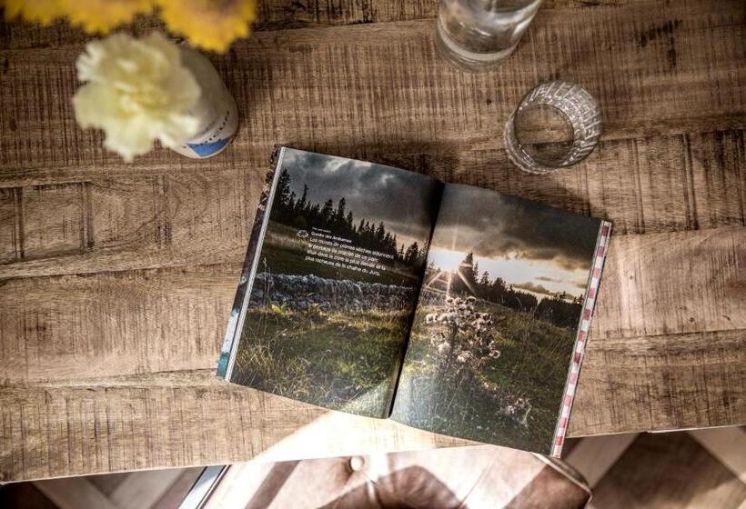 استودیوی استاندارد, The Yard Zürich