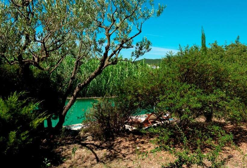 수피리어 룸, Domaine Du Clos D Alari Chambres D Hôtes Au Milieu Des Vignes