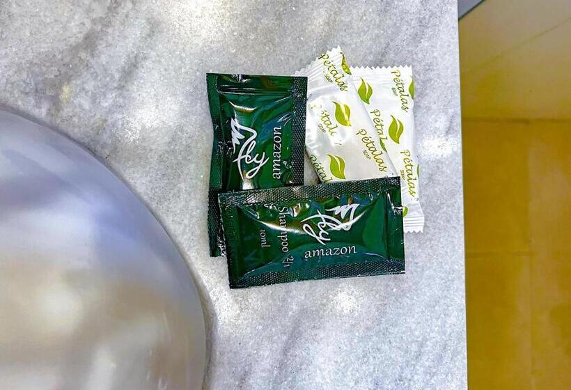 Deluxe Værelse, Castelo Piazzale Campos Do Jordao