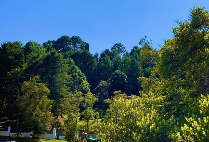 Deluxe 3 Pers. Værelse, Castelo Piazzale Campos Do Jordao