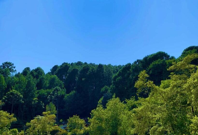 Deluxe 3 Pers. Værelse, Castelo Piazzale Campos Do Jordao