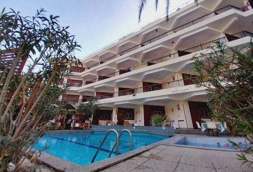 اتاق لوکس یک تخته, Rezeiky Hotel & Camp