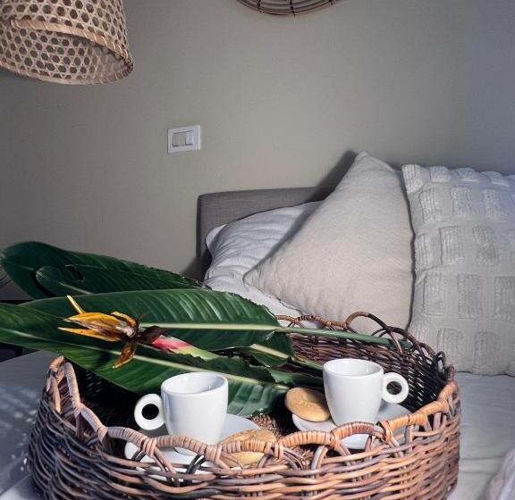 标准间, All'ombra Del Palmeto