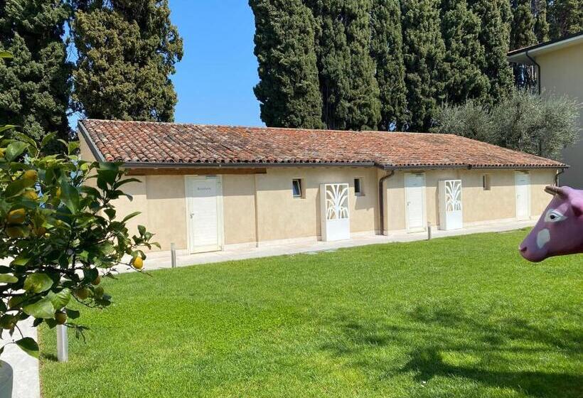 جناح جونيور, Baia Dei Pini