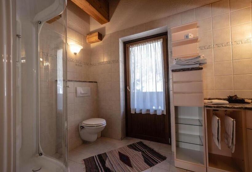 Номер Стандарт, Bouton D Or Cogne