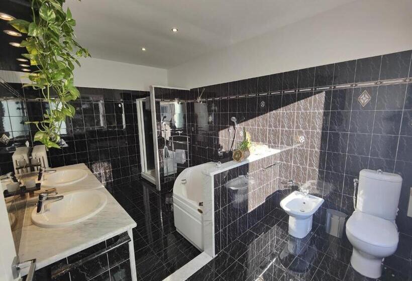 اتاق سوپریور با وان آب گرم, Florence Comfort B&b