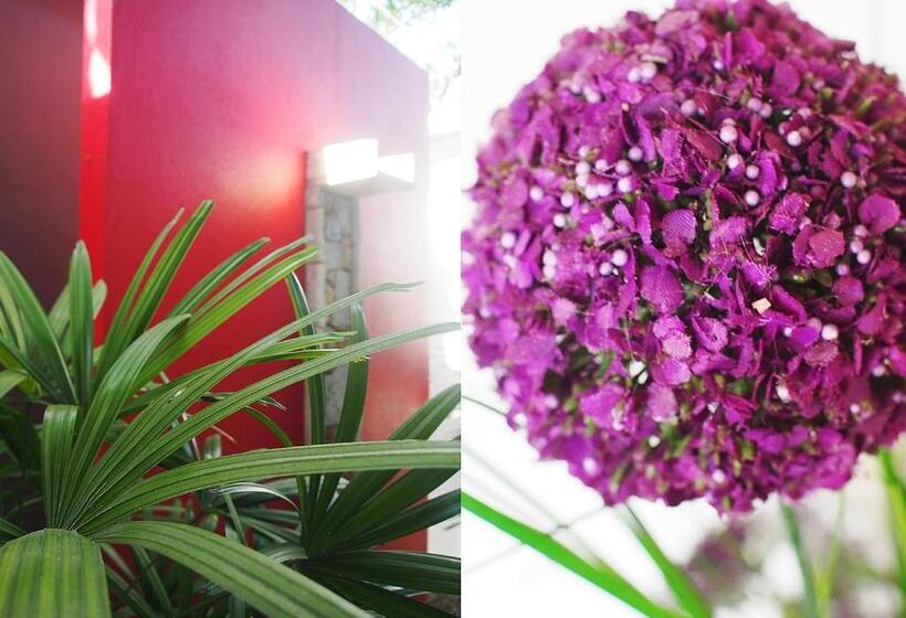 Люкс, Chic Hotel Boutique