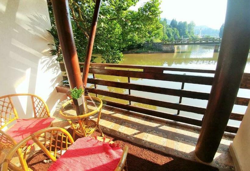 חדר בסיסי, Pansion River