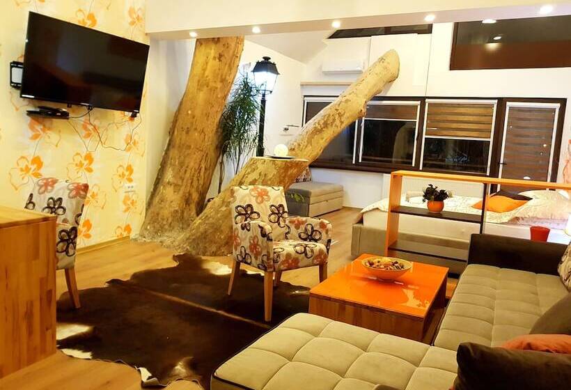 סוויטה מותאמת לאדם עם מוגבלויות, Pansion River