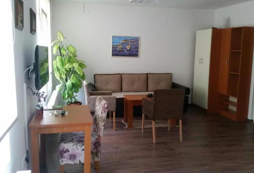 اتاق خانوادگی, Pansion Centar