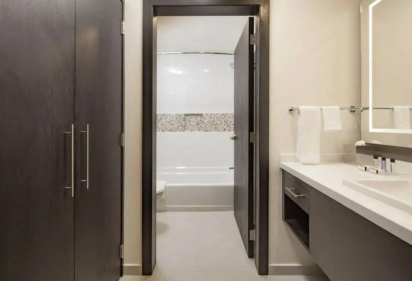 スイート, Staybridge Suites Silao, An Ihg