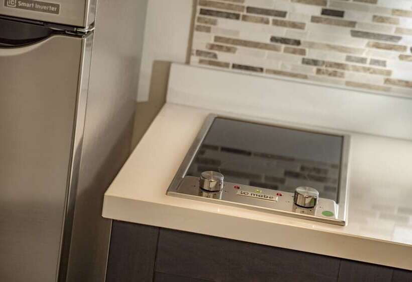 스탠다드 스튜디오, Staybridge Suites Silao, An Ihg