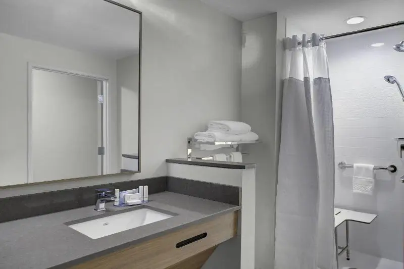 キングサイズベッドのスタンダードルーム, Fairfield Inn & Suites By Marriott Roanoke Salem