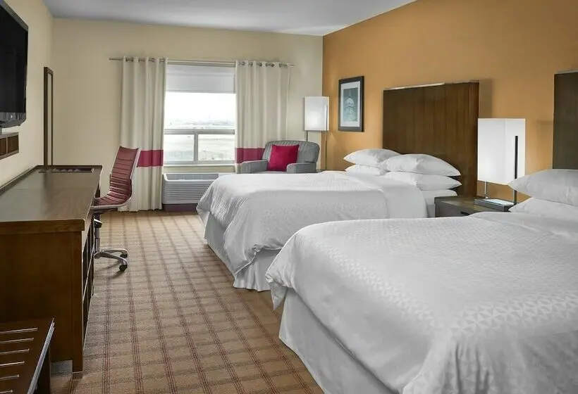 スタンダードルーム, Four Points By Sheraton Grande Prairie