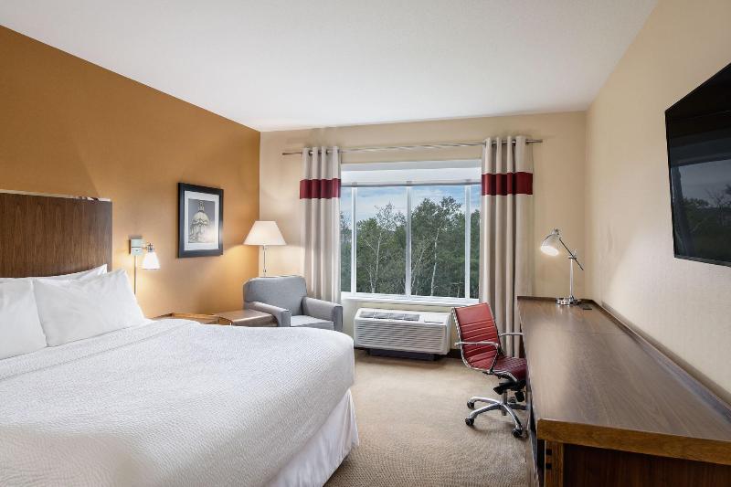 Standard Szoba King Size Bed, Four Points By Sheraton Grande Prairie