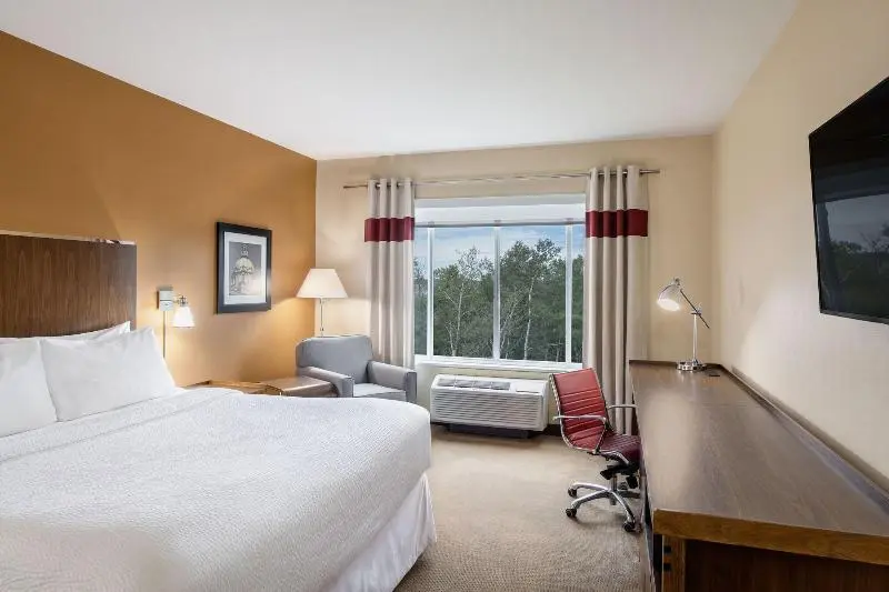 キングサイズベッドのスタンダードルーム, Four Points By Sheraton Grande Prairie