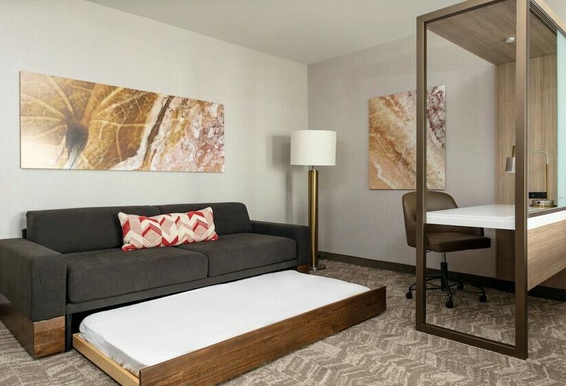 Люкс Вид на Реку, Springhill Suites By Marriott Great Falls