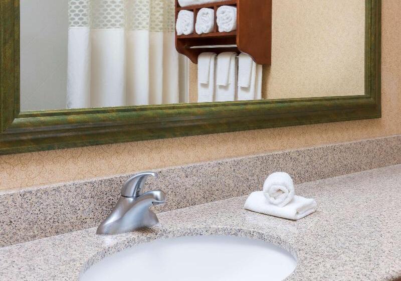 Люкс Кровать Кинг, Springhill Suites By Marriott Great Falls