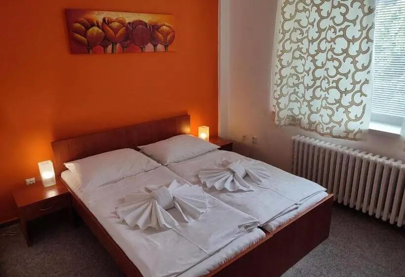 اتاق اکونومی, Best Hotel Garni