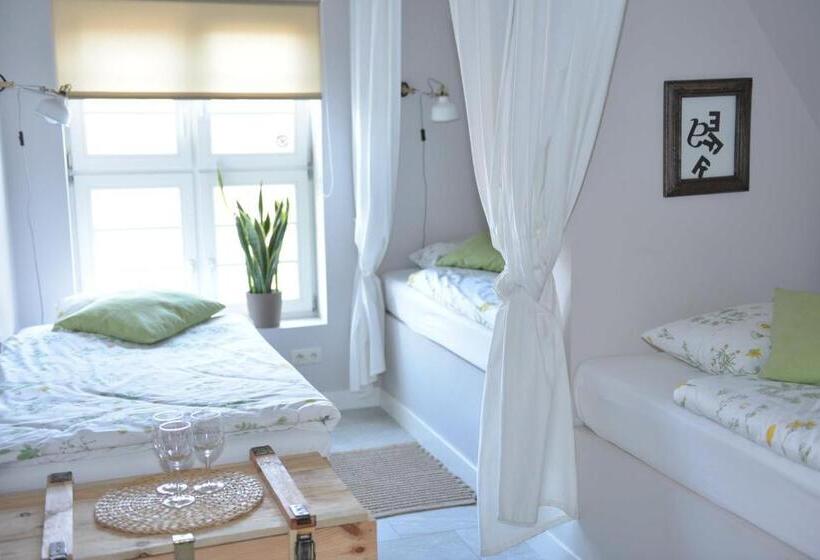 带1个卧室的豪华公寓, Five Point Hostel & Apartments