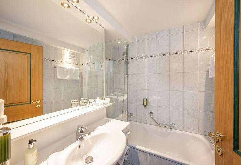 스탠다드 룸, Alpina