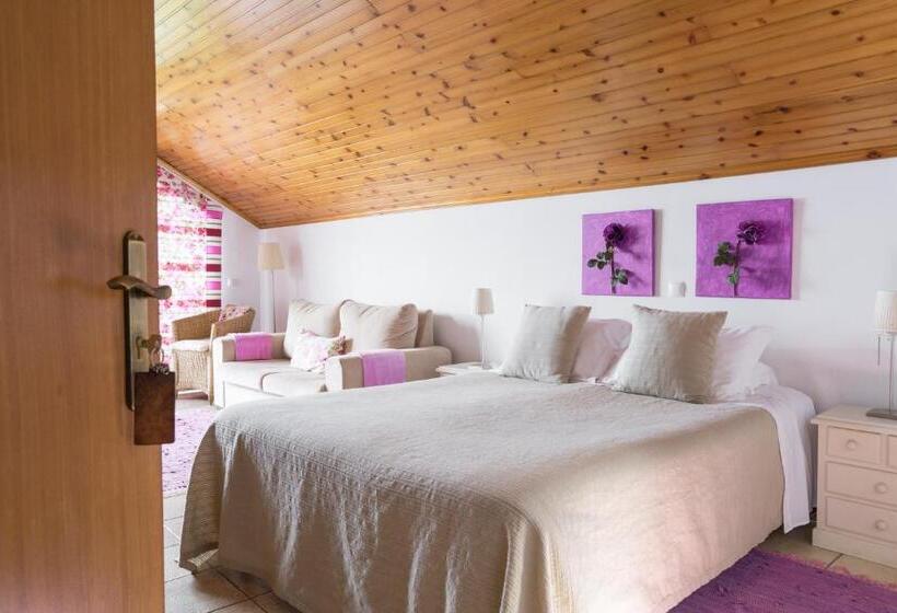 オーシャンビュースーペリアールーム, Casa Das Proteas