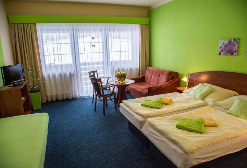 スタンダードルーム, Centrum Harrachov